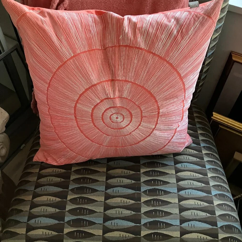 Designer Pillows! - Picture 3 of 10